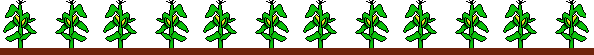 Gardening Grows on You!